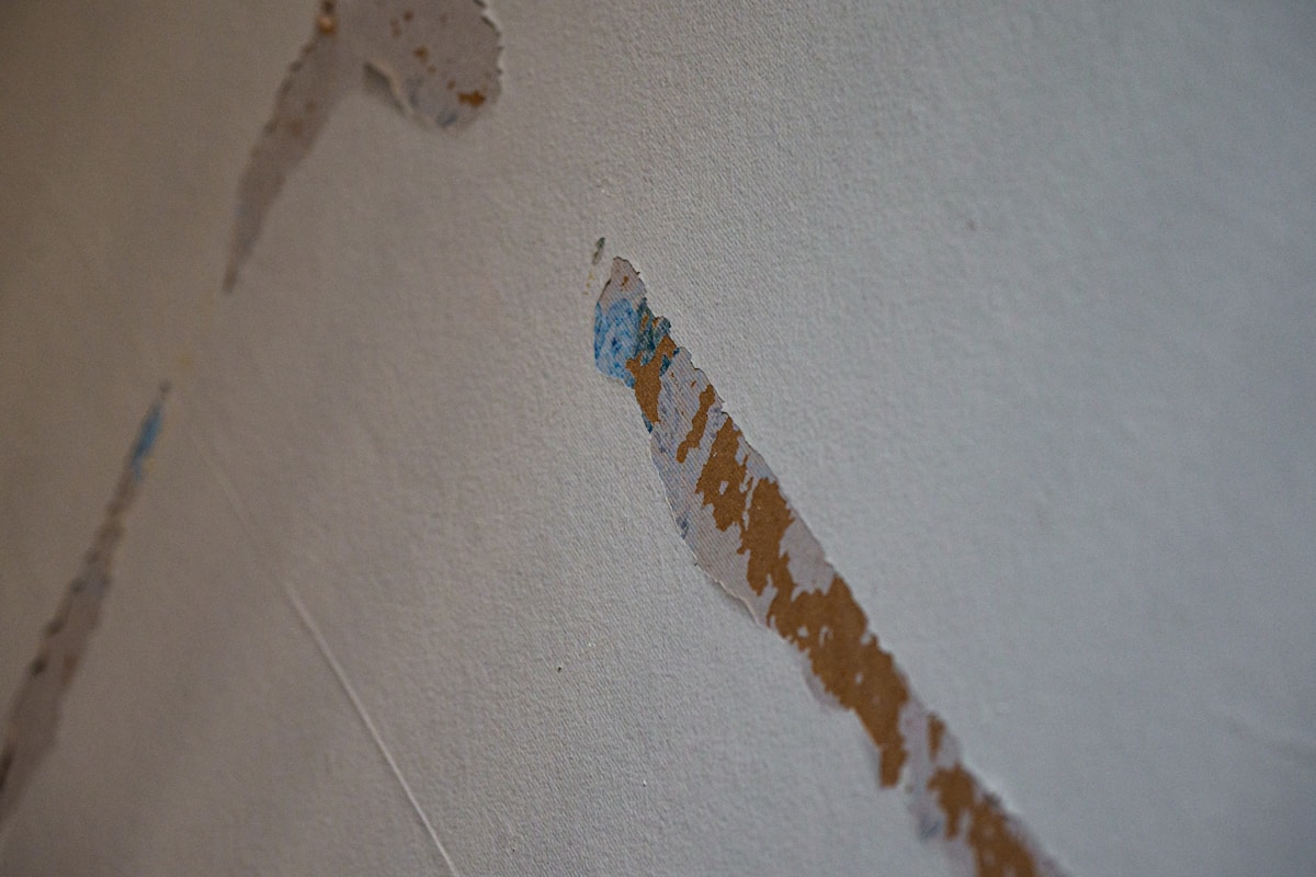 Storm Damage Repair service in Kirkland, WA